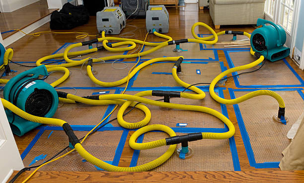 Professional Storm Water Damage Restoration technician working in Mount Morris, IL